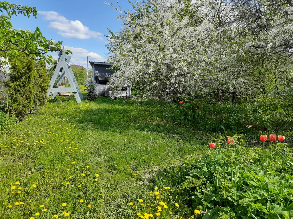 Авторскые апартаменты в историческом центре города