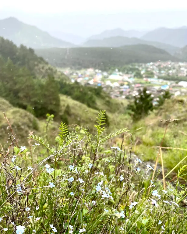 Студия на последнем этаже двухэтажного гостевого дома