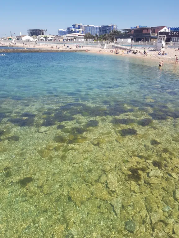 Квартира Апартаменты у моря в лучшем парке города — Севастополь