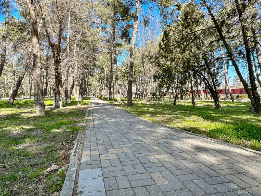 Квартира Уютные апартаменты рядом с морем — Анапа