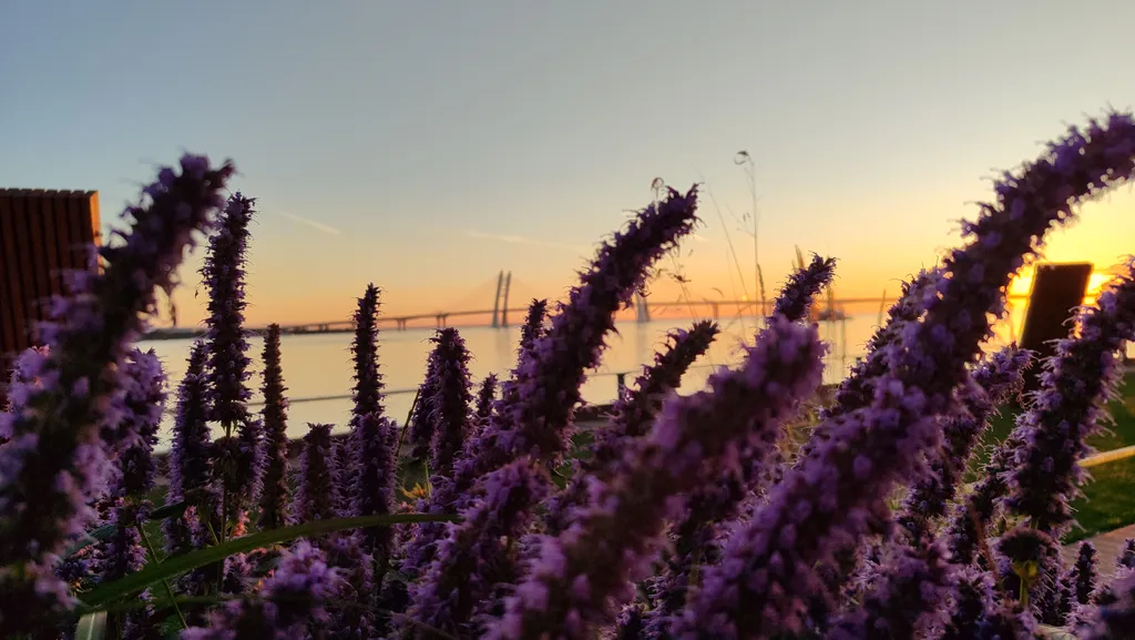 Квартира Комфортные апартаменты с кондиционером на берегу Финского залива — Санкт-Петербург