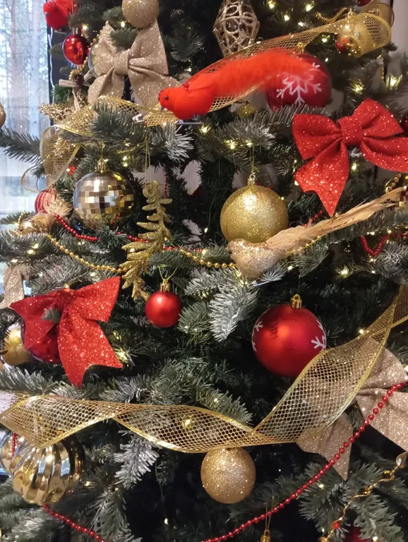 Коттедж Дом на берегу Ладожского озера — Видлица