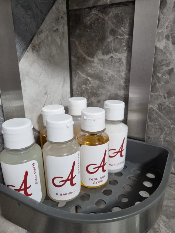 Квартира 1-комнатная Квартира — Светлогорск