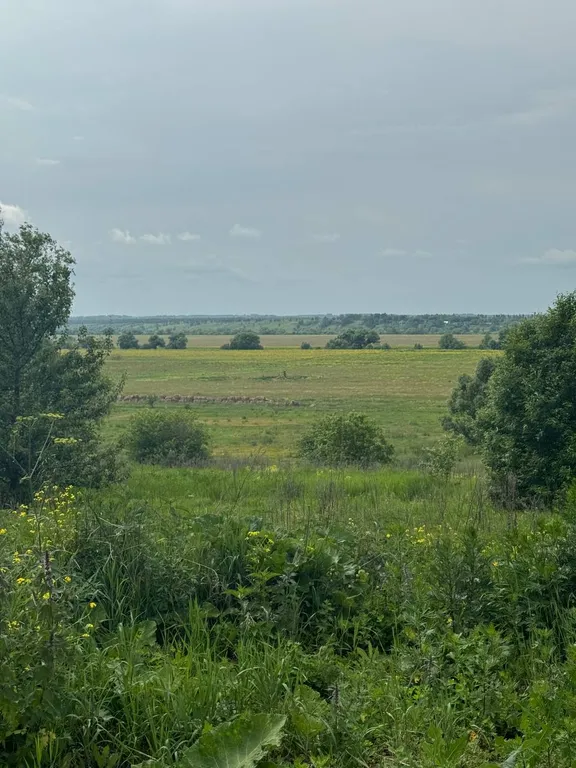 Лисополоса - теплый отдых вдали от цивилизации