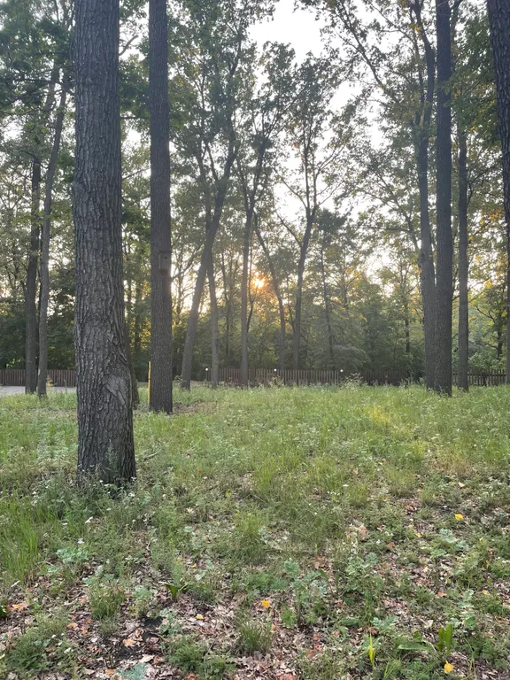 База отдыха «Дубовая роща »