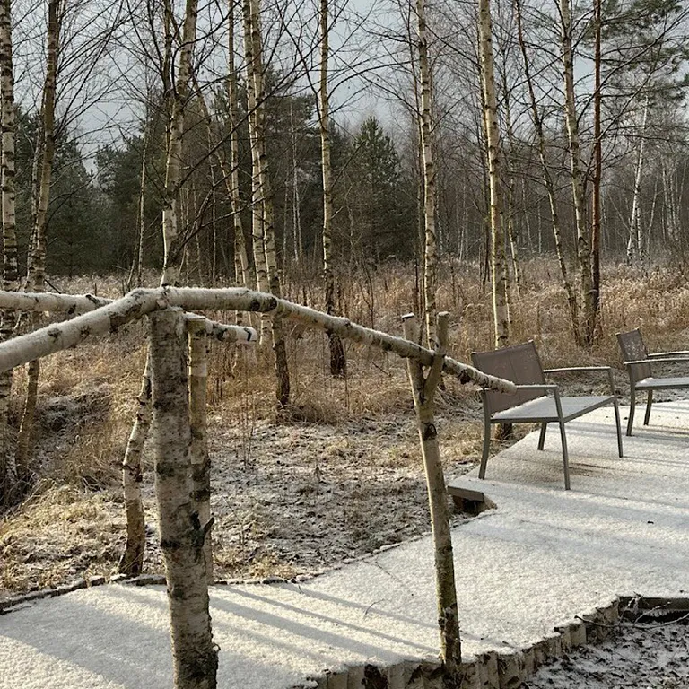 Домик в Соснах с сауной и банным чаном (Lato-80)