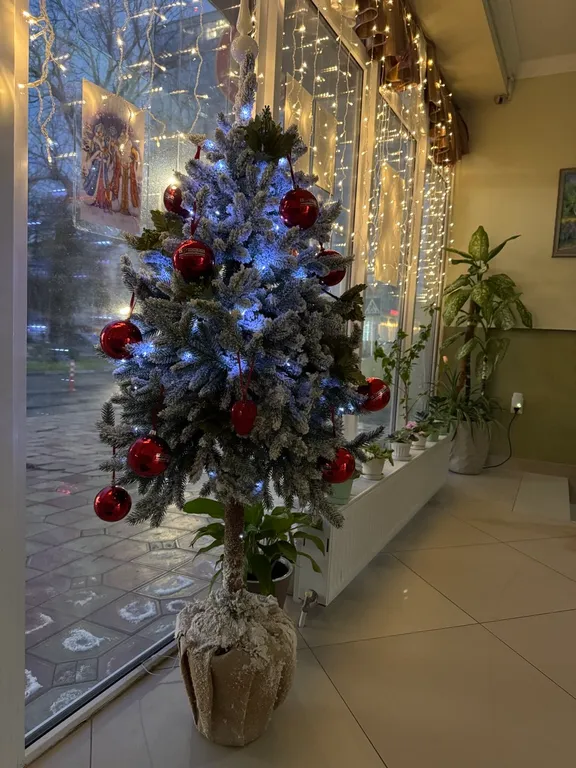 Квартира Апартаменты на троих в 100 метрах от моря — Анапа