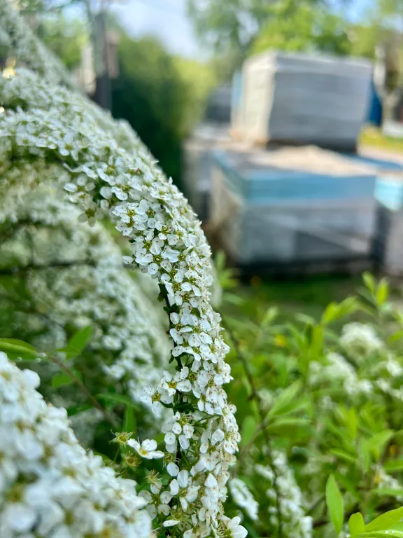 Коттедж Милый домик рядом с озером Ильмень — Великий Новгород