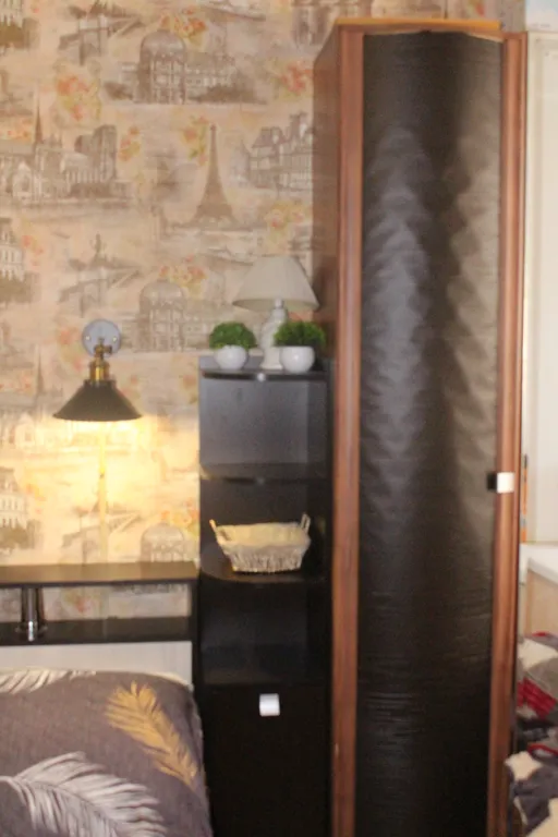 Уютная квартира около Собора