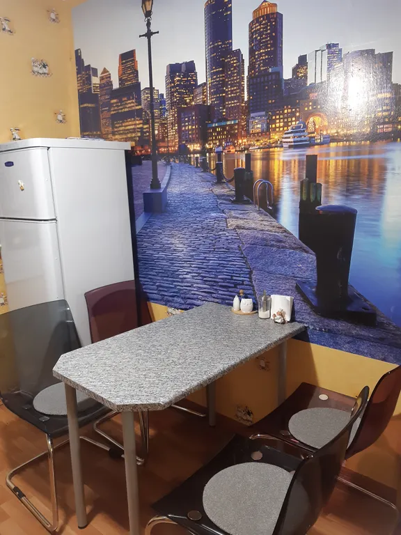 Однокомнатная квартира на Дзержинского, 33