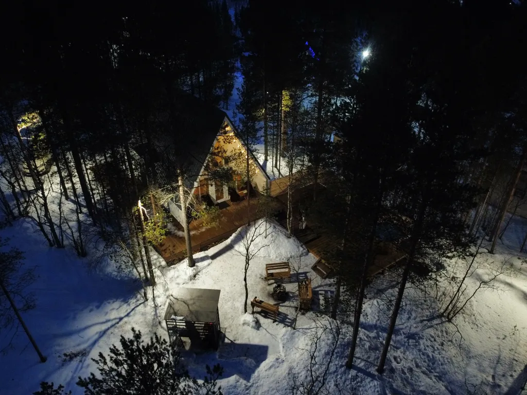 Современный дом в сосновом лесу