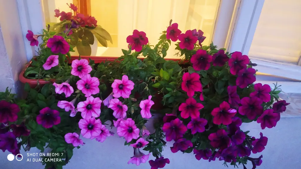 Уютная квартира в историческом центре города