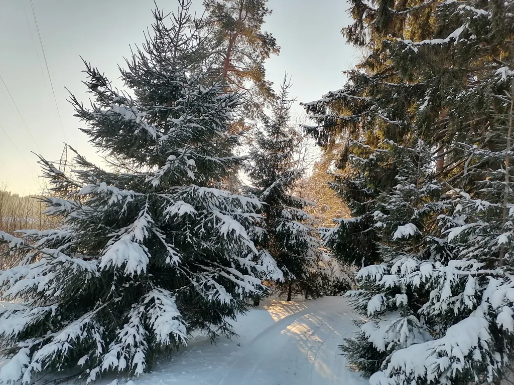 Гостевой дом у леса