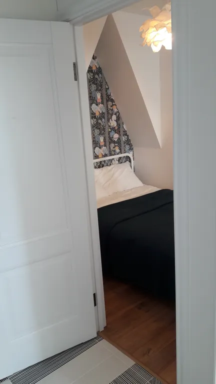 Scandinavian Style Apartment