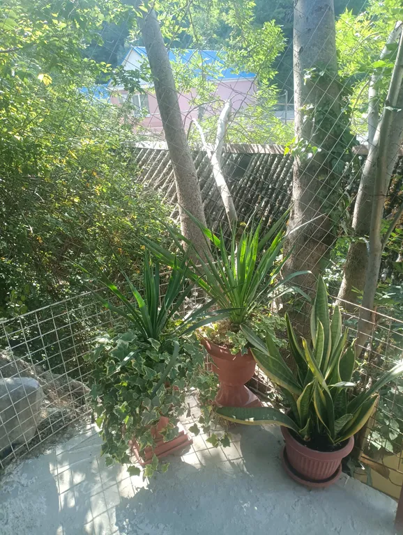 Отдельная двухместная комната в Центральном районе