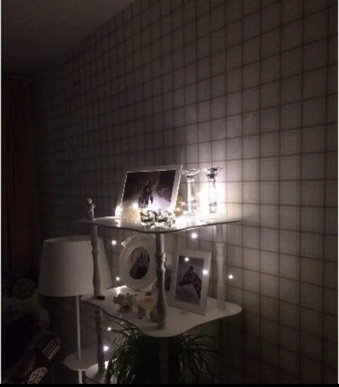 Квартира у леса