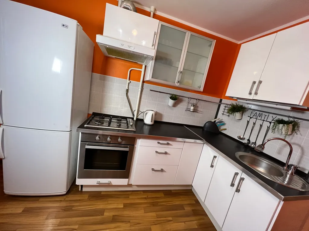 1-комнатная квартира в деловом и историческом центре города с новогодней елкой