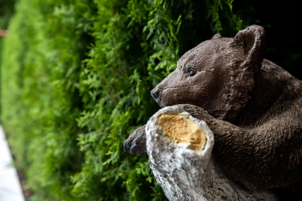 Квартира Квартира Домашняя усадьба — Горячий Ключ