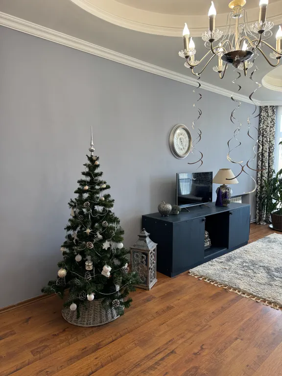 Уютные апартаменты в центральном районе города