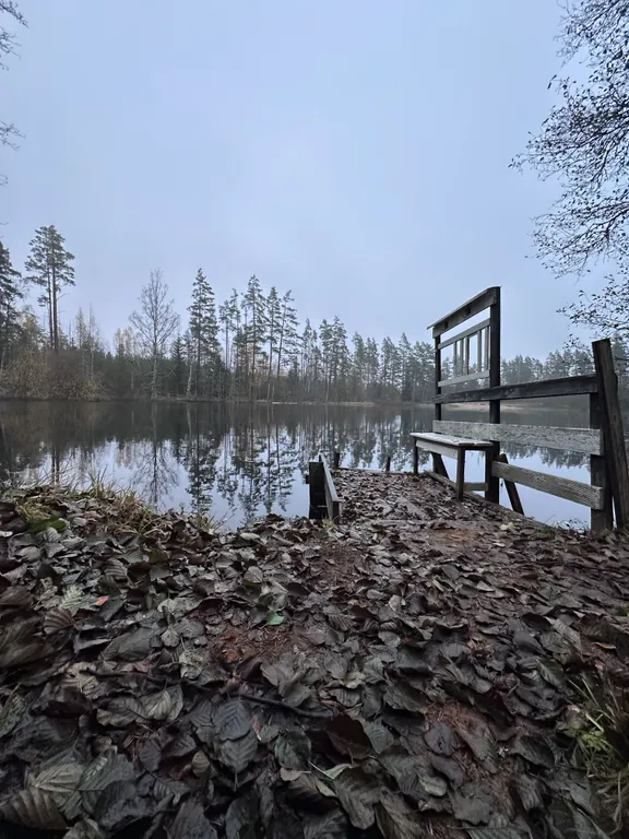 Коттедж Уютный современный дом в сосновом лесу у озера — Запорожское