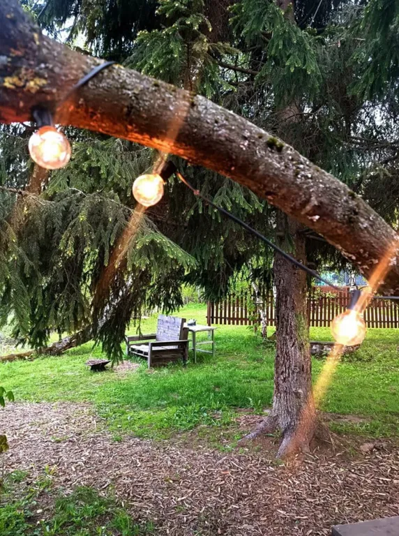 Чудо-дача, дом Акула на берегу пруда