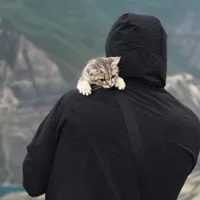Сочи Центр