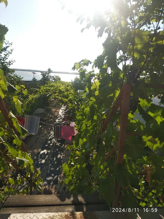 Комната в частном доме доме у самого моря