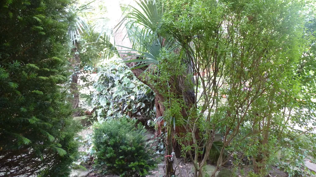 Коттедж Уютный коттедж в саду — Сочи