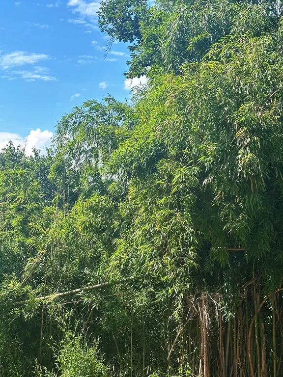 Домик с двориком на Каштаке | 300 м до моря | песчаный пляж