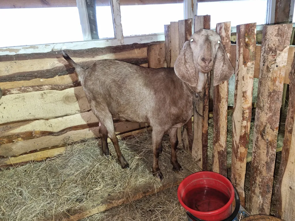 Усадьба в Соколова