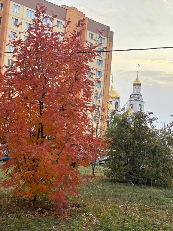 Квартира в центральном районе рядом с рынком Воронежский