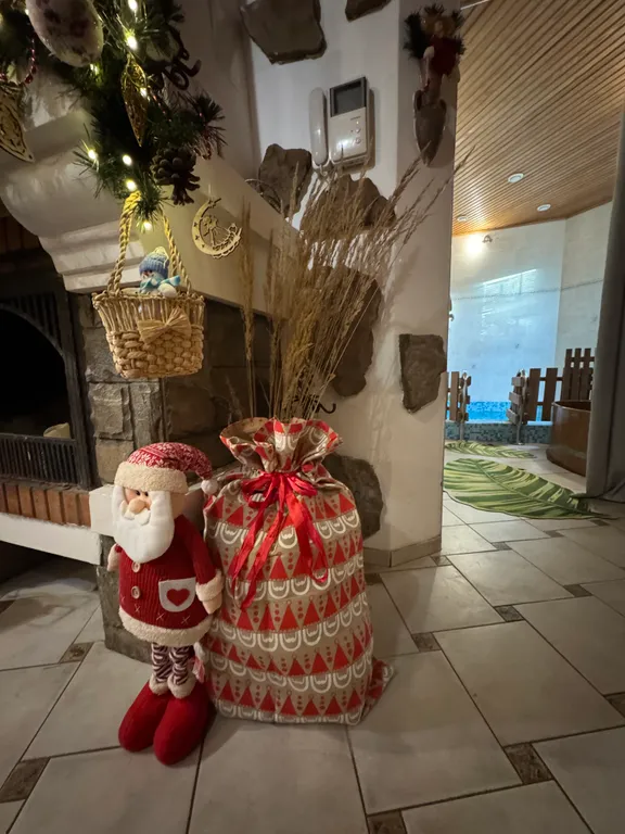 Дом холостяка