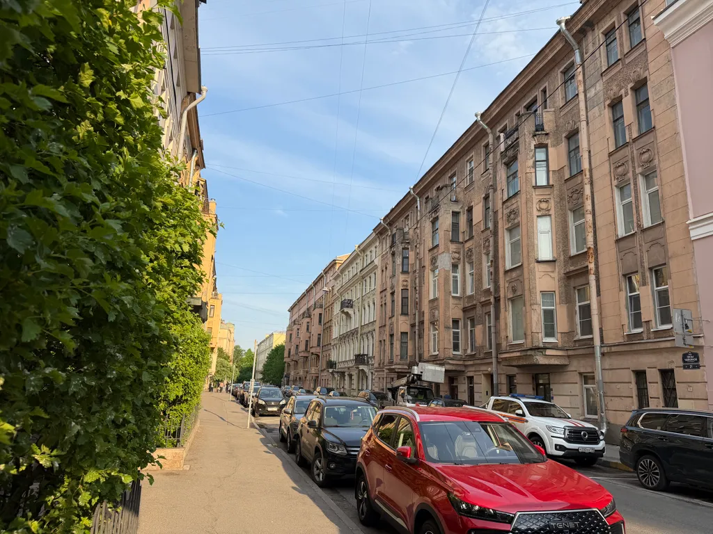 Стильная и уютная квартира на Петроградской стороне
