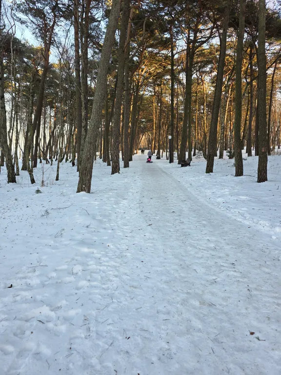 Коттедж Уютный дом у Соснового парка и моря — Пионерский