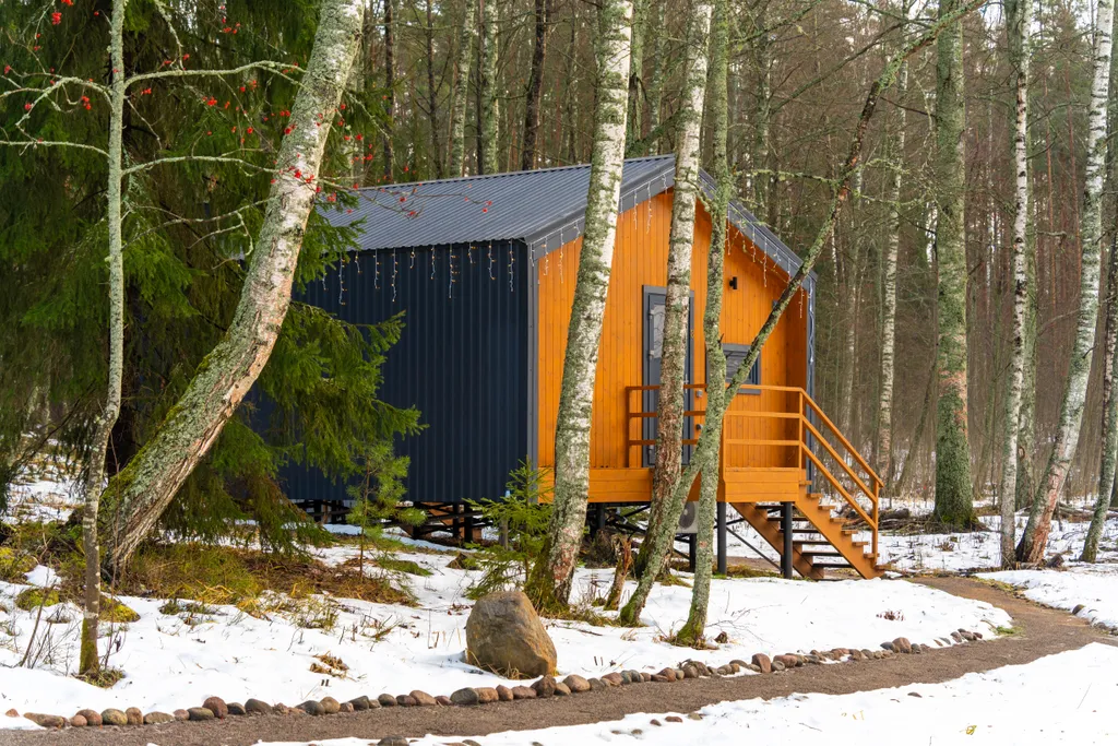 Дом с видом на лес