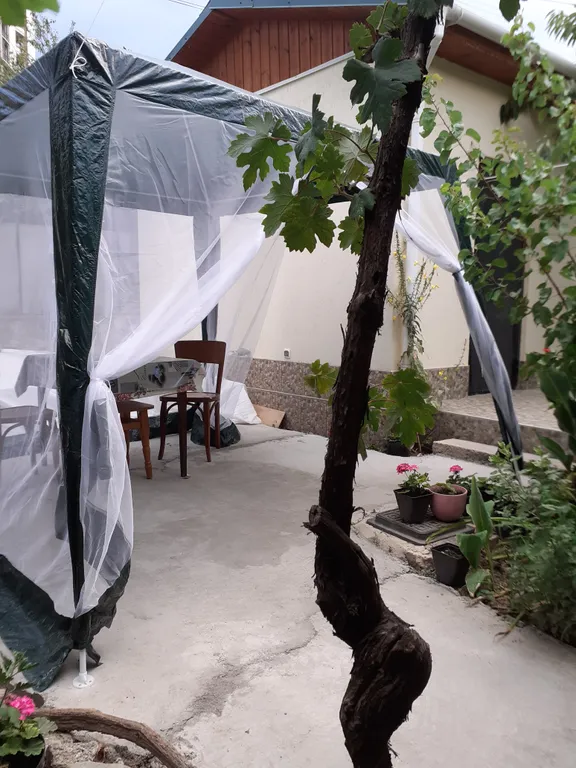 Номер-студия с удобствами в центре города