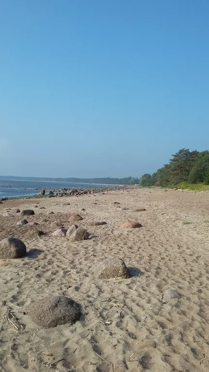 Коттедж Академическая дача (коттедж) у Финского залива, Зеленогорск-Смолячково — Санкт-Петербург