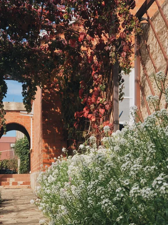 Апартамент веранда