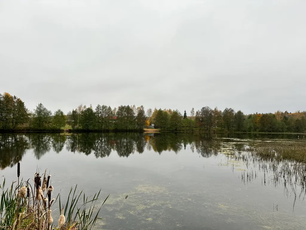 Тихий отдых в уютном доме рядом с лесом