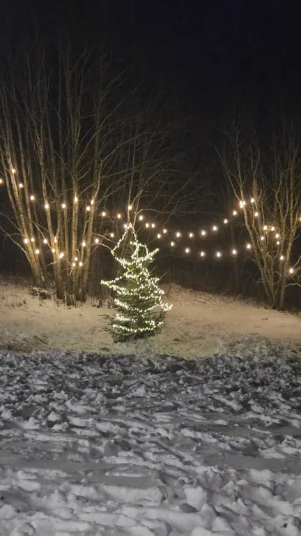 Коттедж 2-комнатный Дом — Шаховская