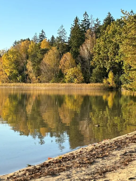 Деревенский домик в лесу