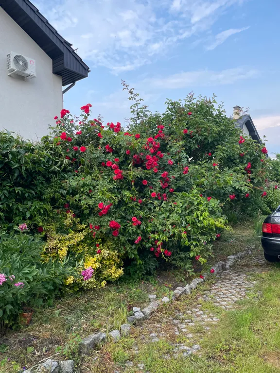 Дом у моря с баней