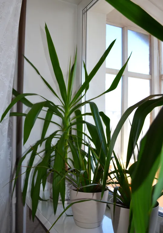 Квартира Квартира Лесная полянка — Екатеринбург