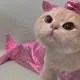 Илана