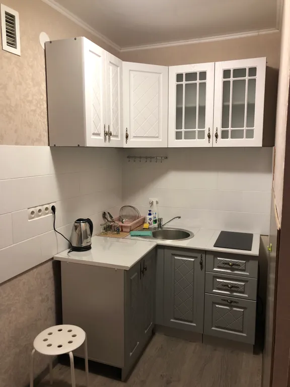 Студия в Дружбе