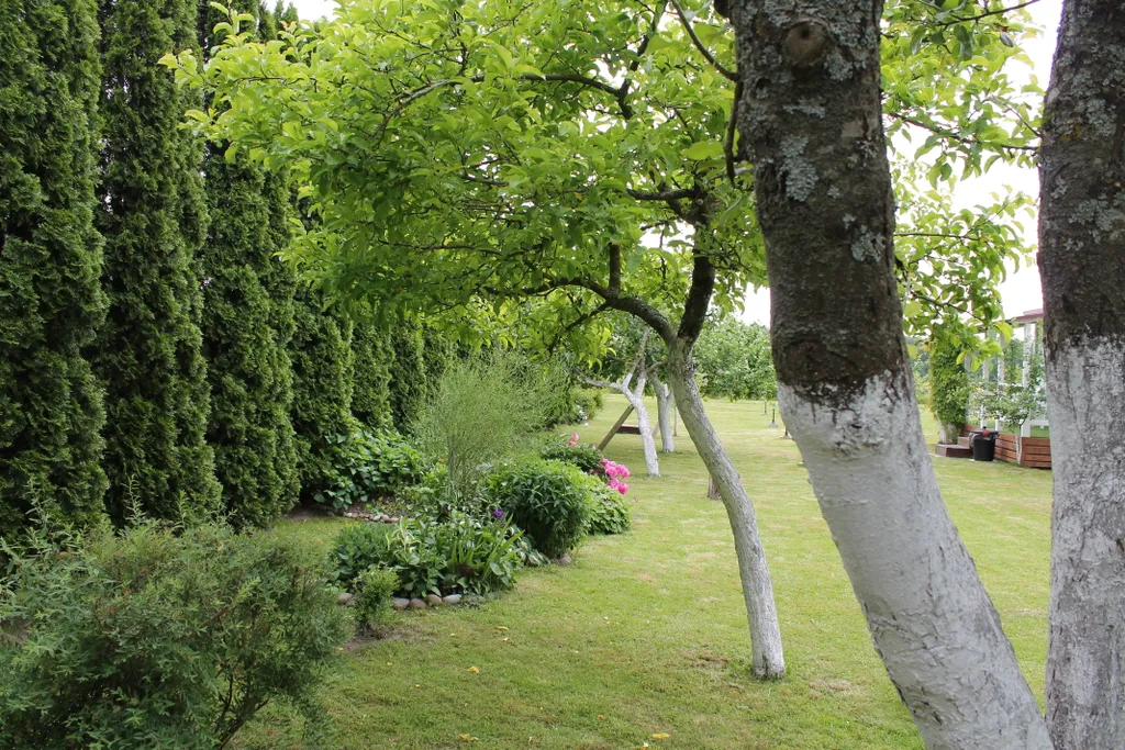 Коттедж Коттедж Лайтхаус Кот Маркиз 1А — Зеленоградск