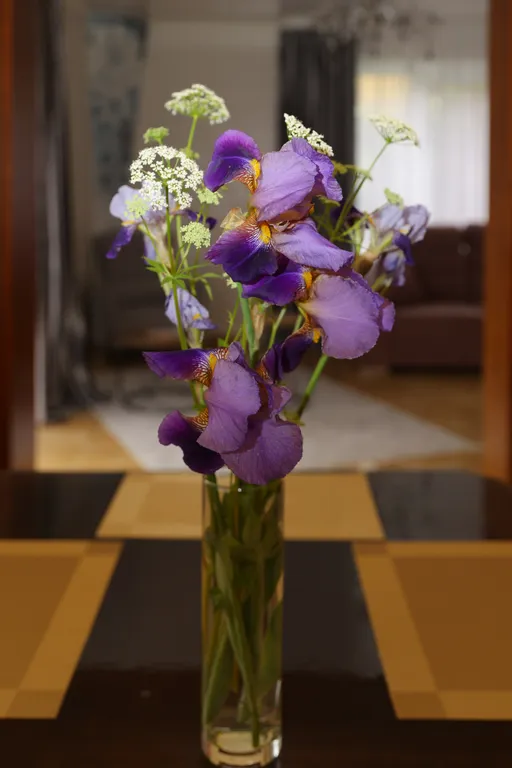 Домик на Курортном