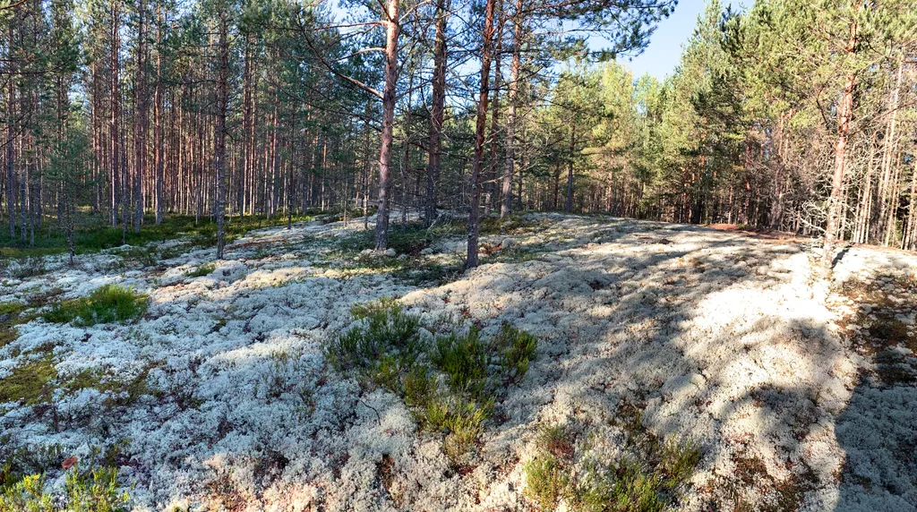 Нурми дом у реки