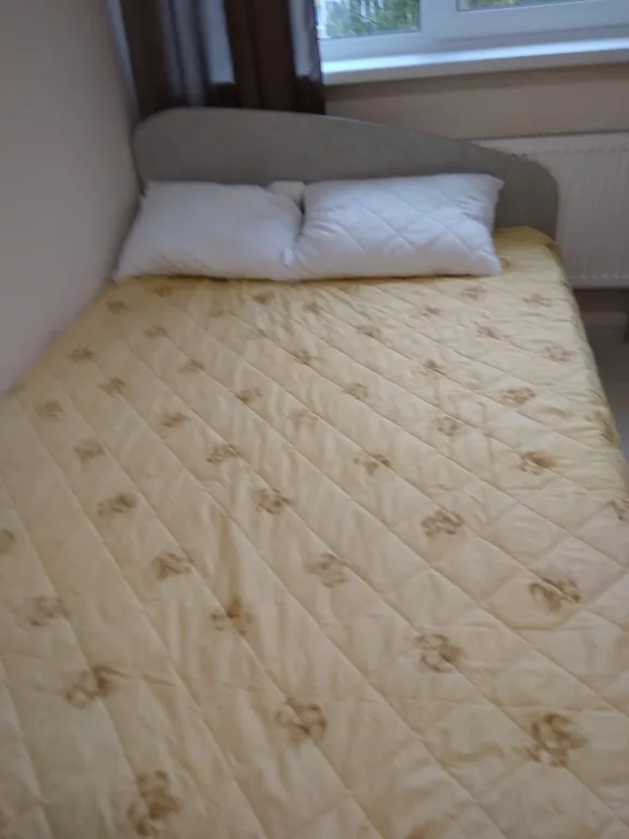 Уютная студия в центре Архангельска, места 2+1