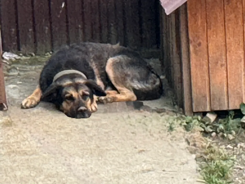 Коттедж Комфортные летние домики на море — Сухум